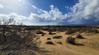 2023-GC--Mapalomas dunas-S123-074.jpg